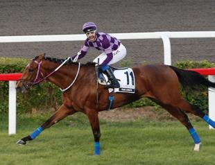 Excitement builds for 98th Gazi Race as horse-racing goes digital