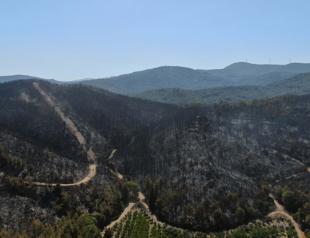 Wildfires rage across İzmir, surrounding regions