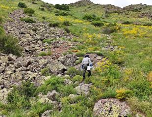 Academics carry out studies on venomous snake to cure cancer