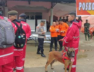At least 11 dead, 35 missing after Indonesia landslide