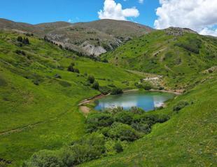 Kop Mountain: A sanctuary of biodiversity and history