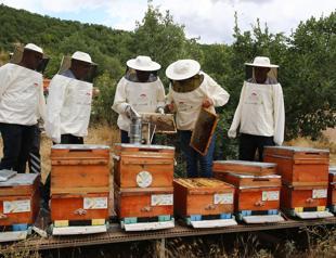 Eastern city seeks global honey branding after EU recognition