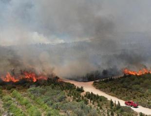 İzmir forest fire kills three people
