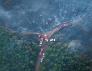 Wildfires scorch over 10,000 acres across 5 cities