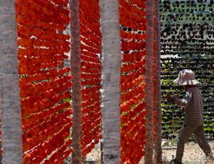 Vegetable sun-drying season begins in Gaziantep