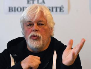 Greenland arrests anti-whaling activist on Japan warrant