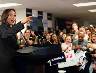 Harris snags enough delegate support to clinch US Democratic nomination