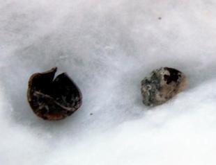 Excavations reveal new insights into sacred Hittite city