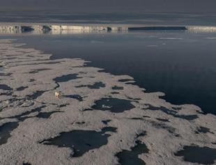 Türkiye’s 4th Arctic scientific research expedition team returns