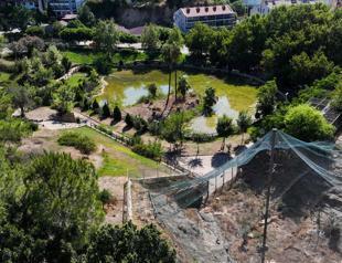 Locals, tradesmen call for return of bird sanctuary in Adana