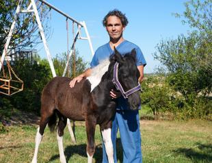 Türkiye’s first IVF foal ‘Balat’ meets public for first time