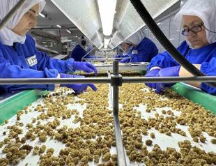 Türkiye aims for $1.8 billion in dried fruit exports this year