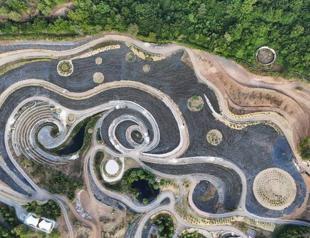 Van Goghs ‘Starry Night’ recreated as park