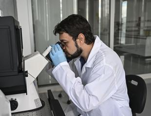 Scientists develop sheep-derived heart valve implant