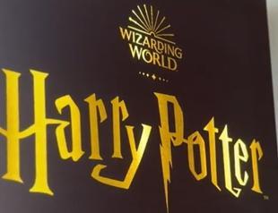 Warner Bros wins copyright lawsuit against Turkish store