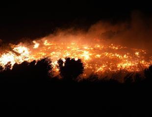 Firefighting efforts intensify as forest fires rage in Türkiyes western provinces