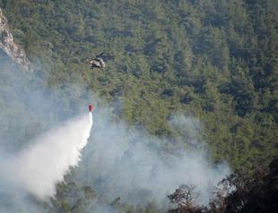 Türkiye contains 304 forest, rural fires in 4 days