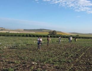 ‘Hidden empire’ discovered in Spain