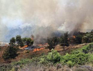 Bozcaada police identify arson suspect in Aegean island fire