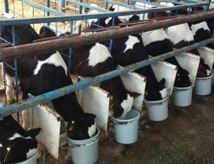 Costs outpace selling prices for milk producers
