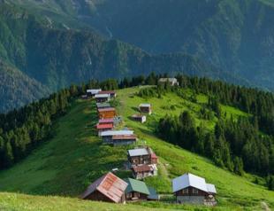 Vacation trends shift as cultural, nature tours surge in popularity