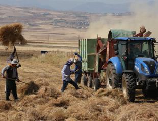 Türkiye to lease farmlands left uncultivated for 2 years