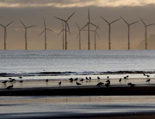 Combining climate measures key to slashing emissions: study