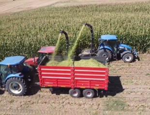 Food companies set their eyes on uncultivated farmlands