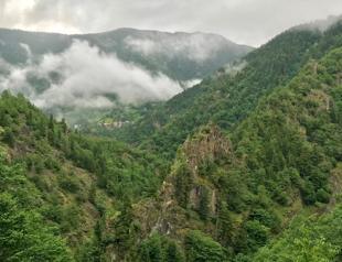 Türkiye’s reforestation efforts pay off, make up for destroyed forests