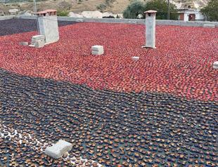 Historical district hosts major ecological agriculture activities