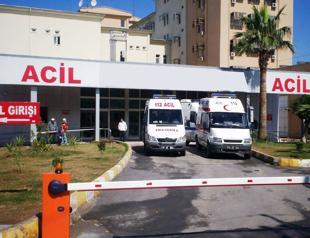 Climate shifts raise tropical diseases risk for Türkiye