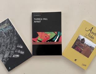 African literature gains increasing popularity