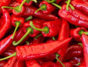September’s essential ingredient: Red meaty peppers