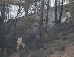 Wildfires continue to rage in Türkiyes western provinces
