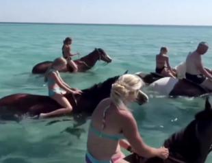 Horse riding tours in sea in Antalya spark outrage