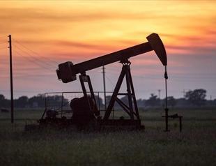 Government working to reduce energy import bill: Minister