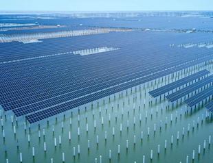 Solar industry on track for another record year: Report