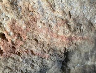 Researchers decode oldest human DNA from SAfrica to date