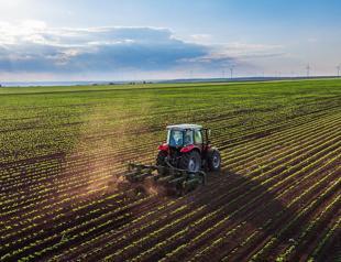 Diesel and fertilizer subsidies to be paid in cash