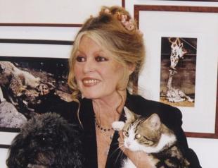 Film legend Bardot enjoys her silent solitude