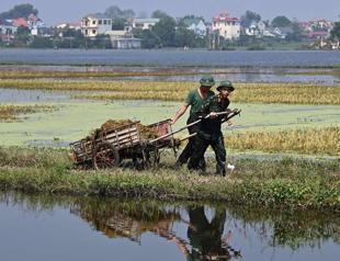 Vietnam puts Typhoon Yagi economic losses at $3.3 billion