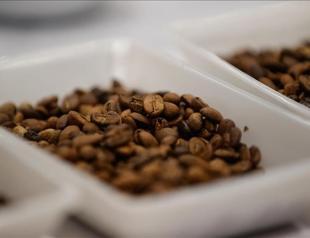 Coffee exports generate $155 million in revenues in 5 years