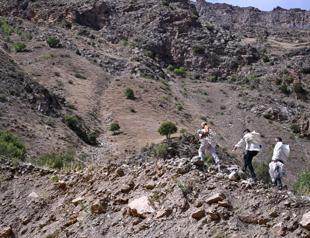 Beekeepers walk for miles to obtain rare, high-quality honey