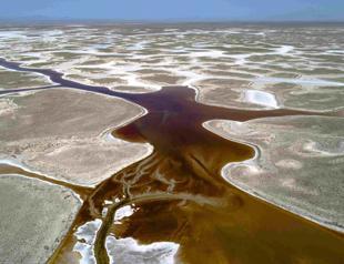 Genes of endemic species in Tuz Lake to provide agricultural sustainability