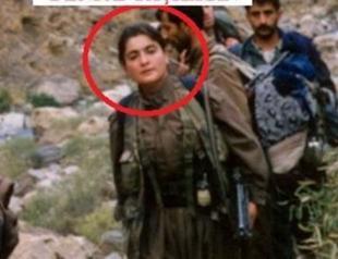 MİT captures three PKK members active in Europe