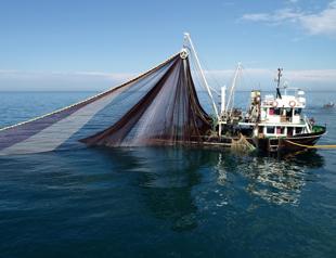 EU-backed project to measure ‘water footprint’ of Mediterranean fisheries