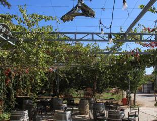 Winemakers in Bekaa Valley in Lebanon wrestling with war