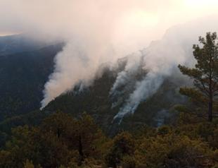 Forest fire continues to engulf southwestern Denizli