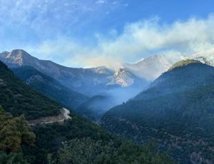 Wildfire in Denizli successfully contained