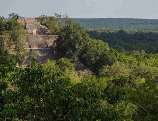 Lost Mayan city discovered in Mexican jungle